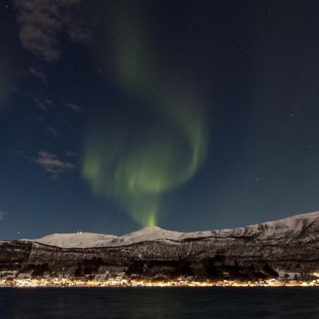 Veien Til Senja Appartement Finnsnes Buitenkant foto