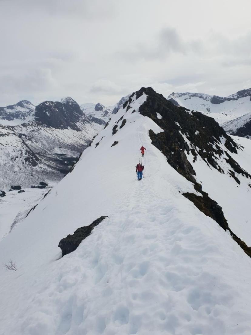 Veien Til Senja Appartement Finnsnes Buitenkant foto